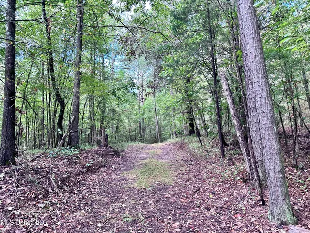 $360,000 | 609 County Road 333, McCarley, MS 38943