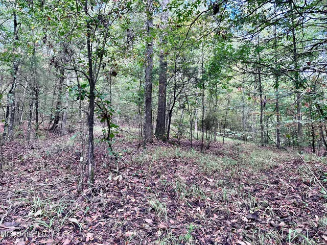 $360,000 | 609 County Road 333, McCarley, MS 38943