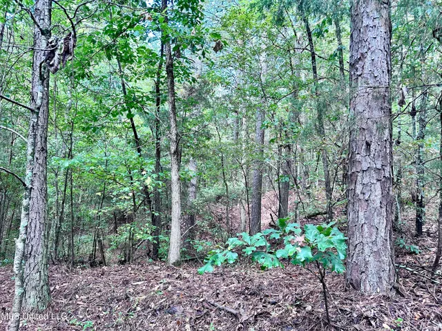 $360,000 | 609 County Road 333, McCarley, MS 38943