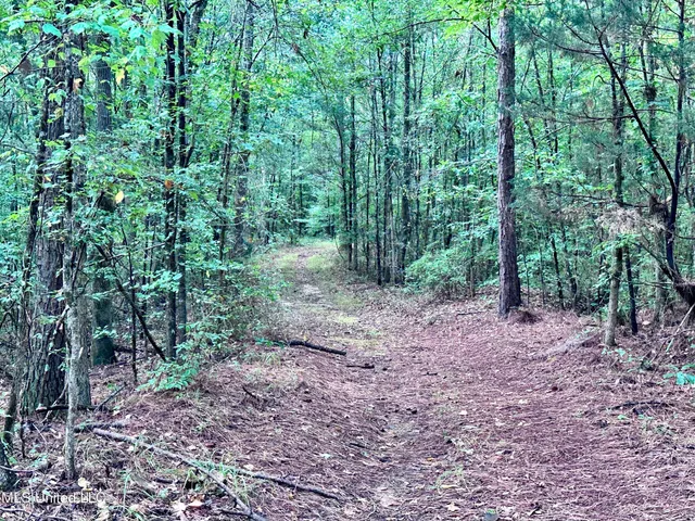 $360,000 | 609 County Road 333, McCarley, MS 38943