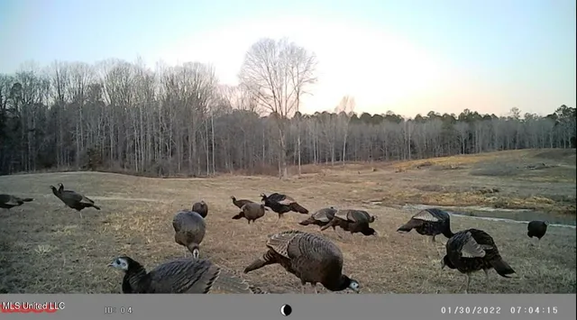 $360,000 | 609 County Road 333, McCarley, MS 38943