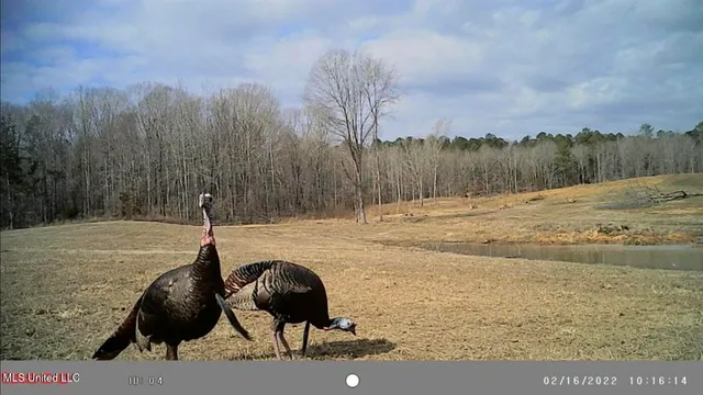 $360,000 | 609 County Road 333, McCarley, MS 38943