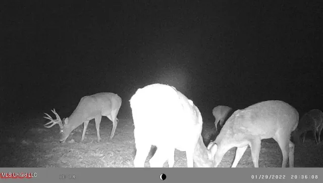 $360,000 | 609 County Road 333, McCarley, MS 38943