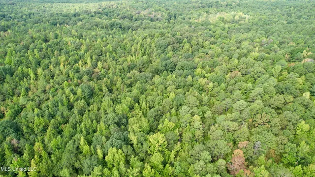 $360,000 | 609 County Road 333, McCarley, MS 38943