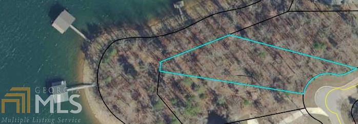 0 Crawford Ferry Point Hartwell, GA 30643 - Photo 1 of 1 Gallery Image 1