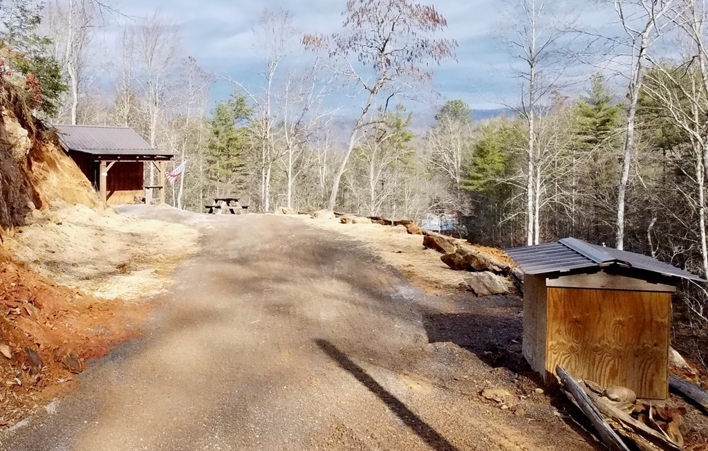 456 Grassy Branch Road Sevierville, TN 37876 - Photo 3 of 28