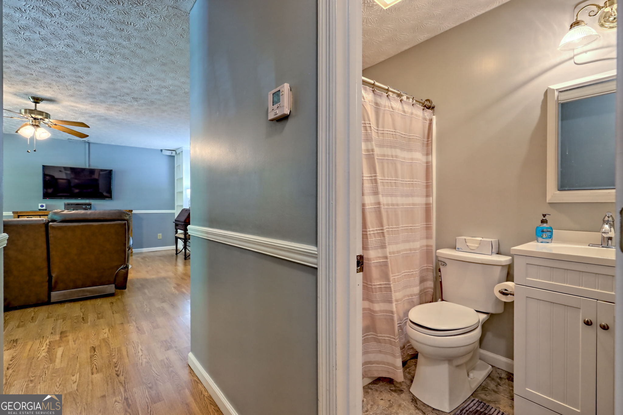 101 Long Street Demorest, GA 30535 - Photo 29 of 61 a bathroom with a toilet a sink and a mirror