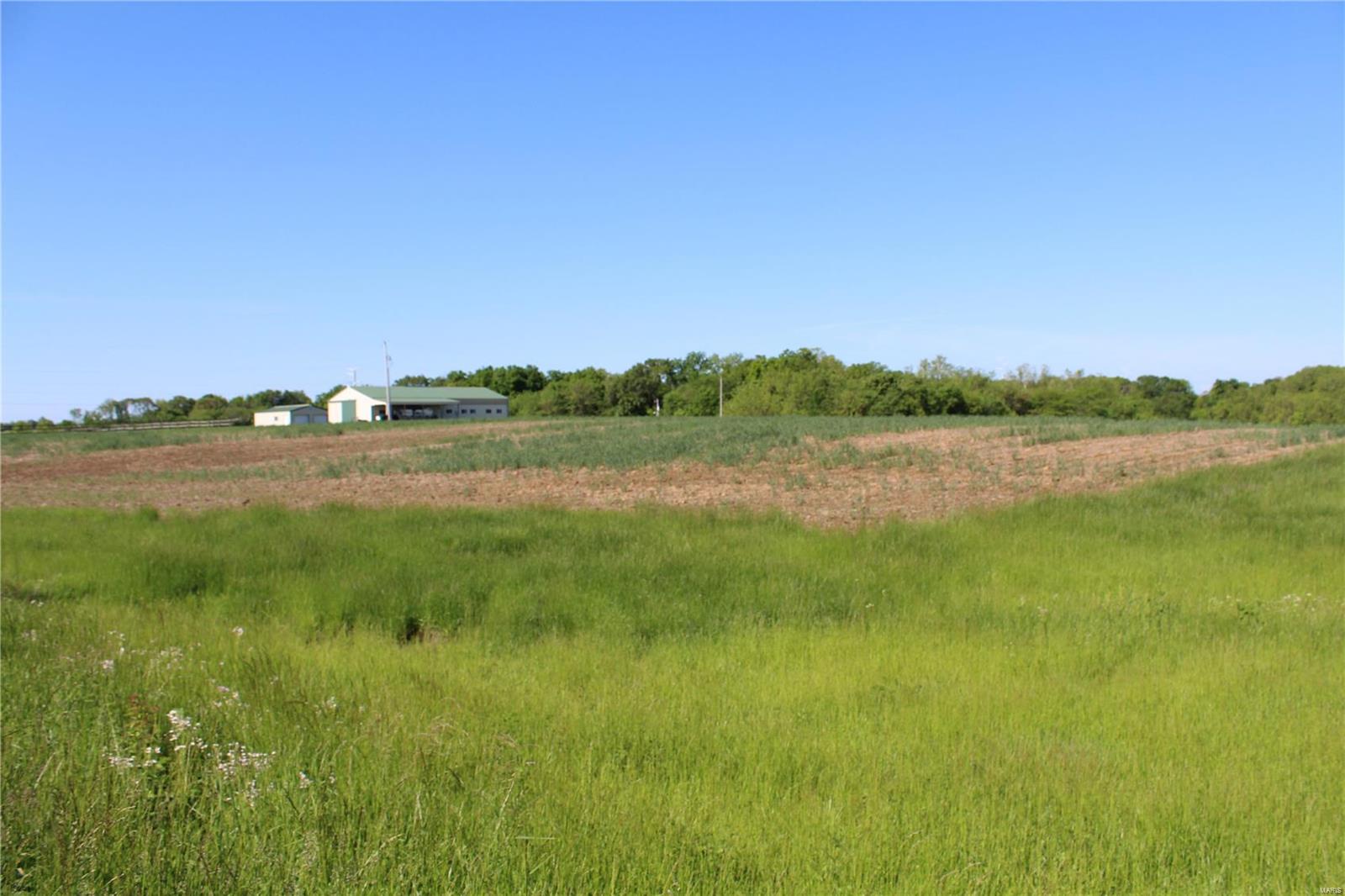 0 Reed Road Fults, IL 62244 - Photo 22 of 23