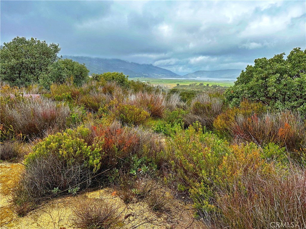 493 Old Gold Mine Road Santa Ysabel, CA 92070 - Photo 17 of 35
