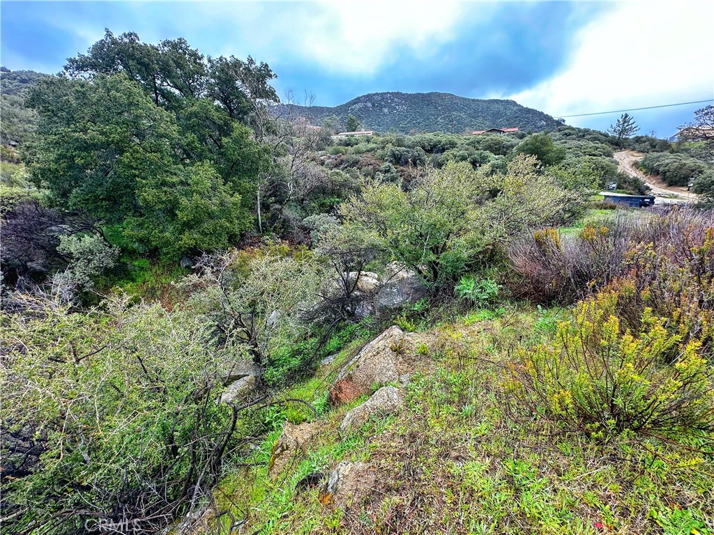 493 Old Gold Mine Road Santa Ysabel, CA 92070 - Photo 18 of 35