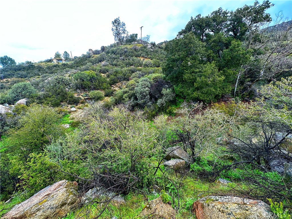 493 Old Gold Mine Road Santa Ysabel, CA 92070 - Photo 19 of 35