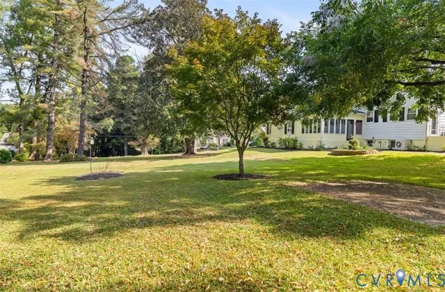 a view of yard with green space