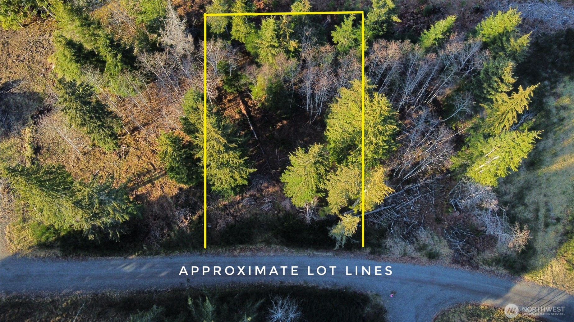 579 Thomas Street Forks, WA 98331 - Photo 2 of 9 a view of outdoor space with sign board