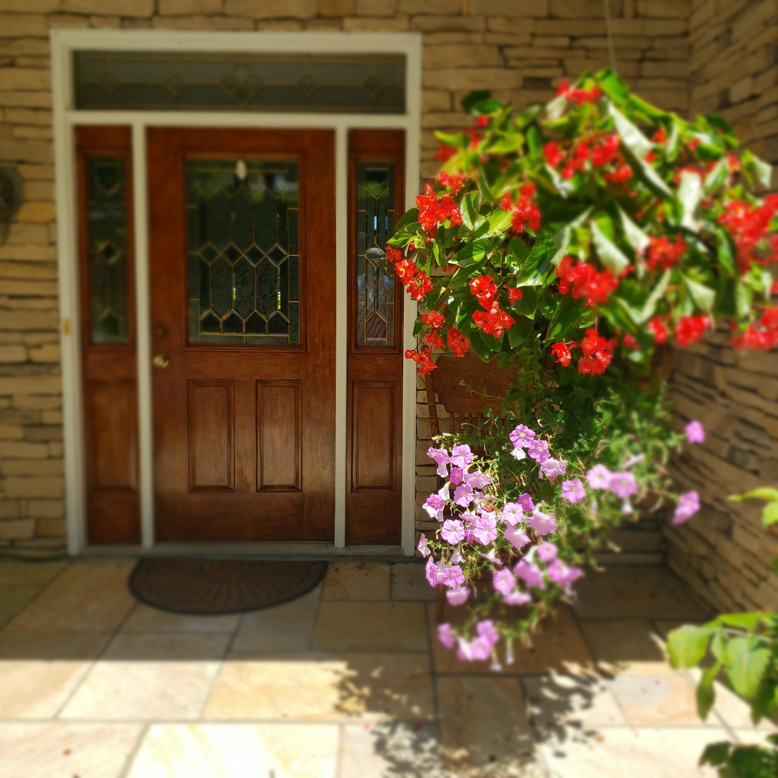 451 Highland Lake Road Union Hall, VA 24176 - Photo 76 of 85 Front Entry