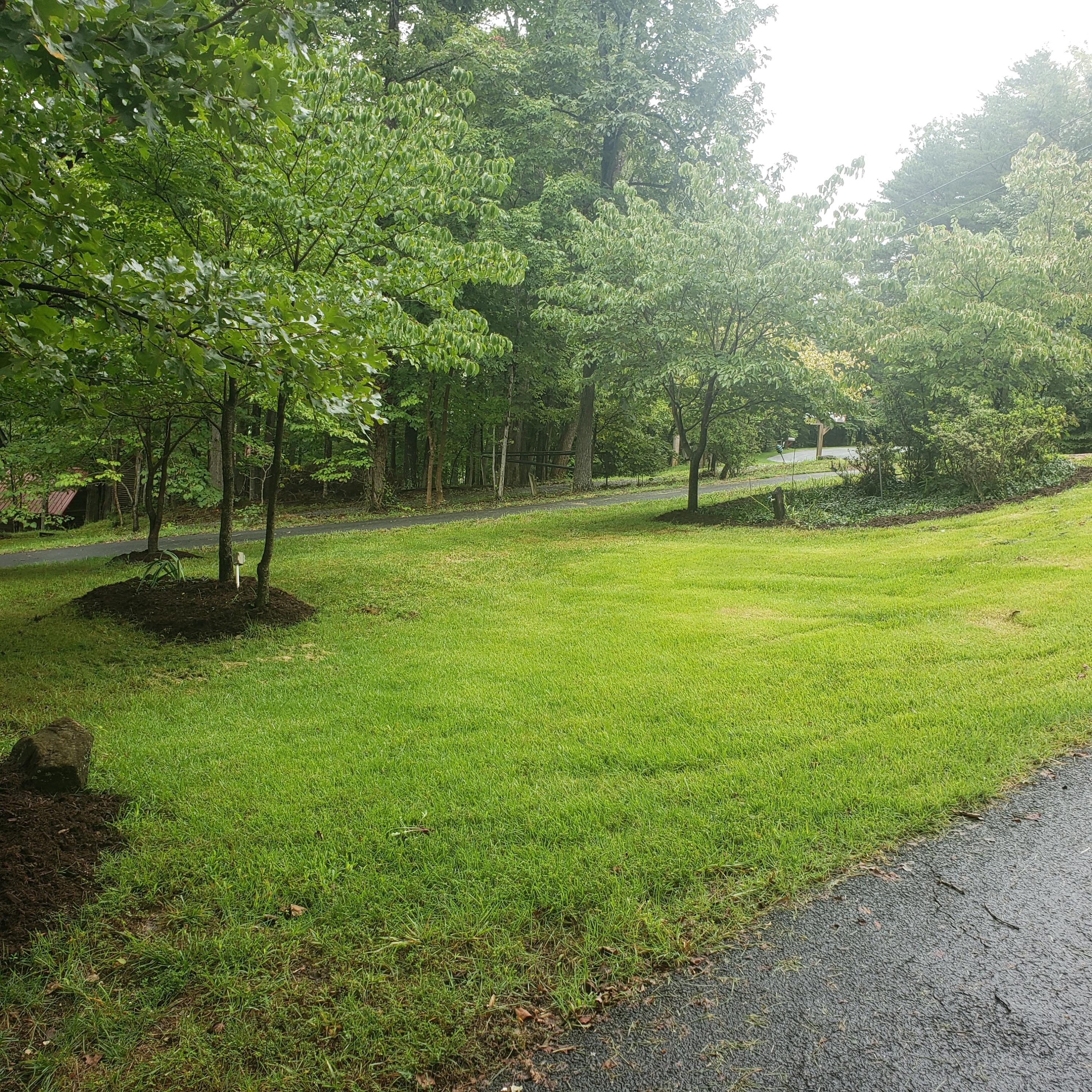 451 Highland Lake Road Union Hall, VA 24176 - Photo 78 of 85 Front Yard
