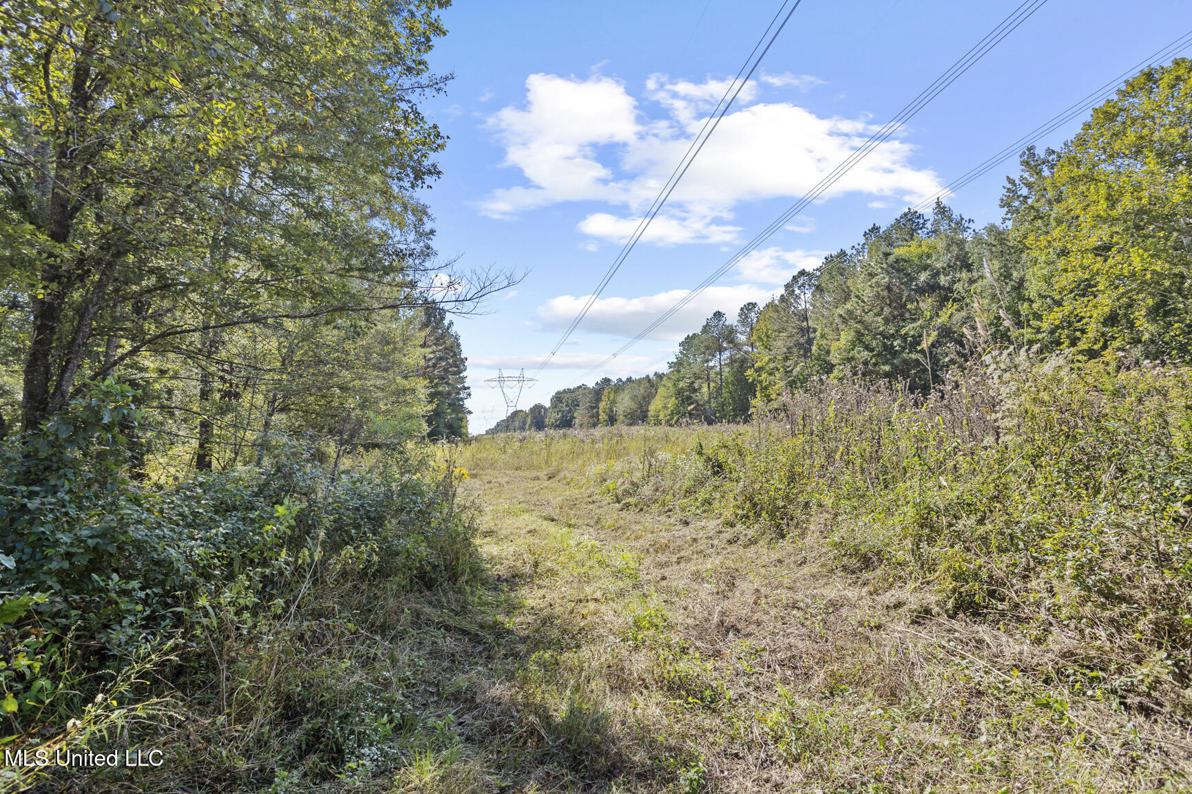 279 Rocky Hill Road Camden, MS 39045 - Photo 57 of 72 279 Rocky Hill Rd-54