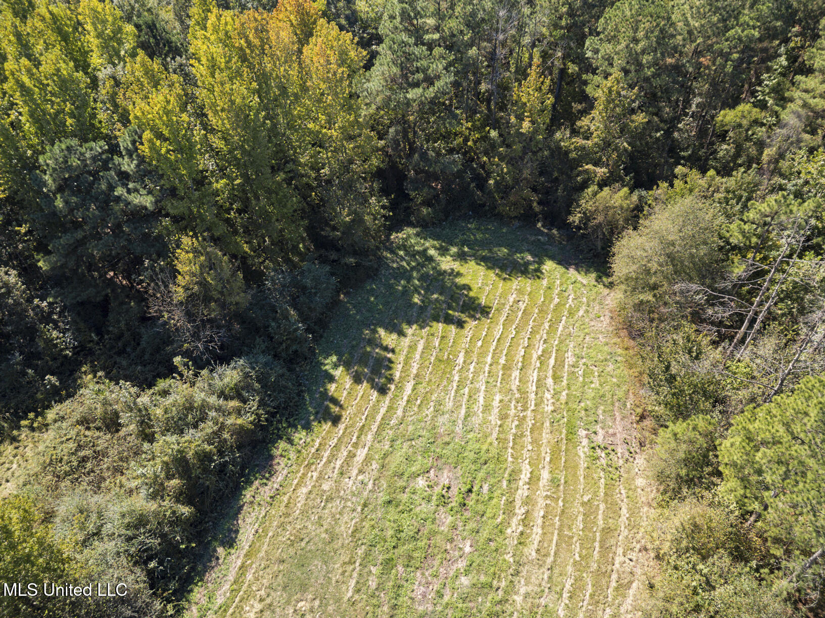 279 Rocky Hill Road Camden, MS 39045 - Photo 60 of 72 279 Rocky Hill Drone-3