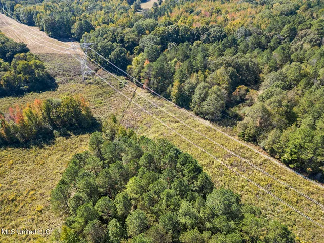 $439,000 | 279 Rocky Hill Road, Pickens, MS 39146