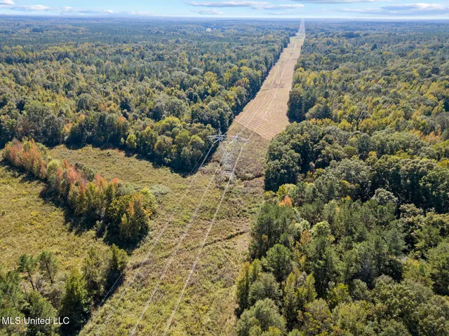 $439,000 | 279 Rocky Hill Road, Pickens, MS 39146