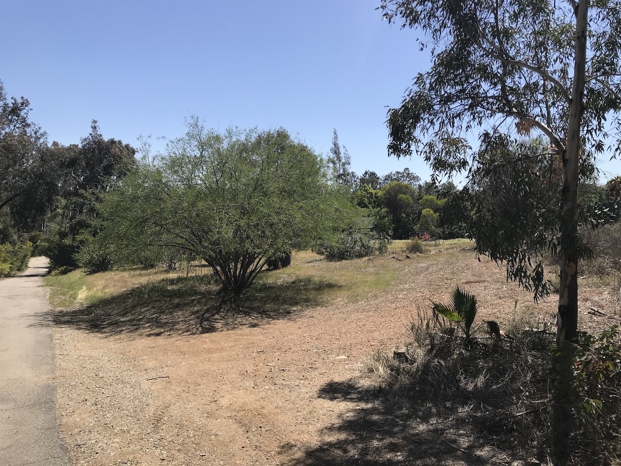 3564 Lone Jack Road Encinitas, CA 92024 - Photo 7 of 7