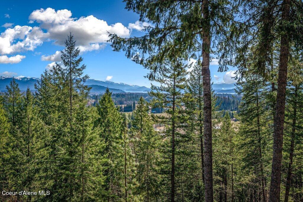 614 Granite Ridge Drive Sandpoint, ID 83864 - Photo 45 of 51 North Idaho Views