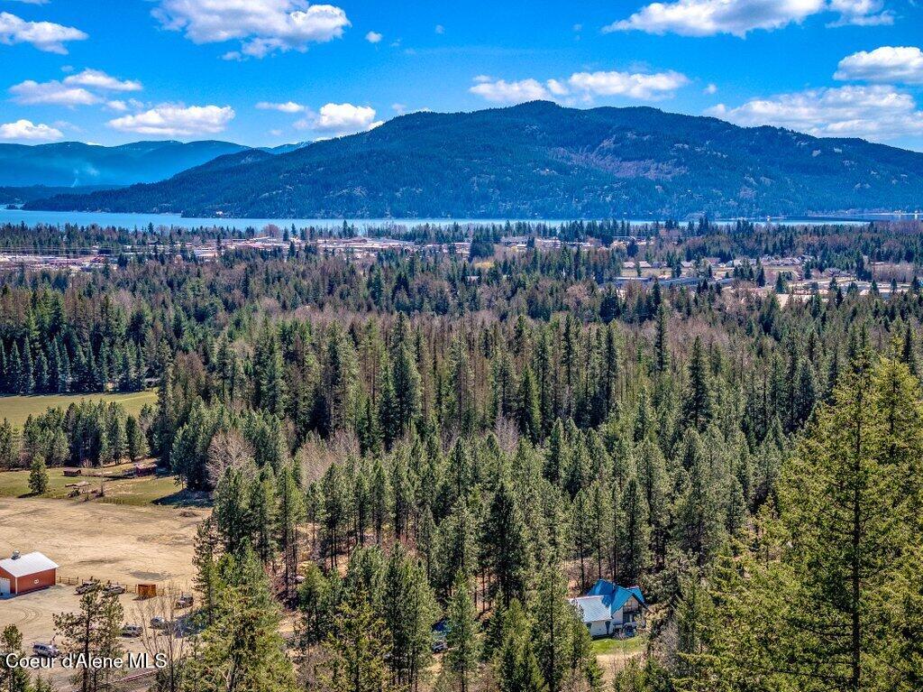 614 Granite Ridge Drive Sandpoint, ID 83864 - Photo 5 of 51 Stunning Views