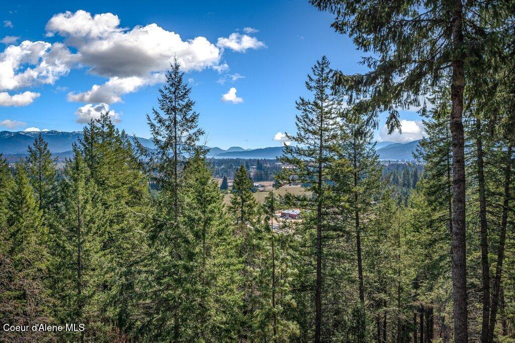 614 Granite Ridge Drive Sandpoint, ID 83864 - Photo 54 of 71 North Idaho Views