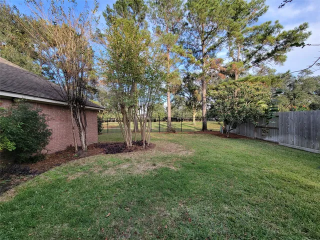 a view of a yard with a tree