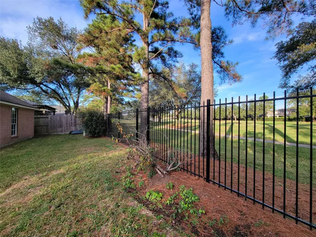 a view of a backyard with a tree