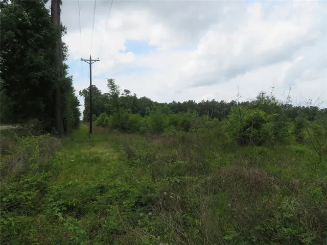 a view of a field of grass and trees
