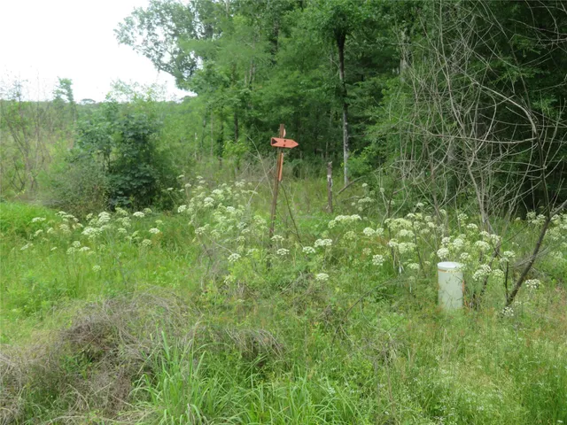 a backyard of a house with lots of green space and trees