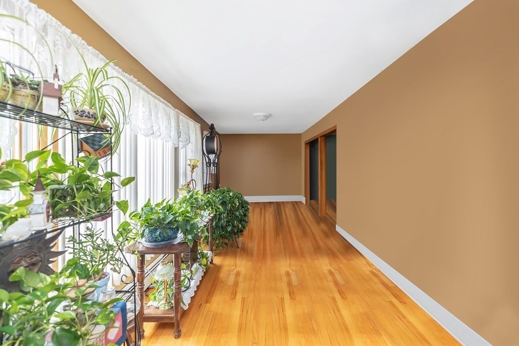 591 Grattan Street Chicopee, MA 01020 - Photo 11 of 36 a view of a entryway with flower plants