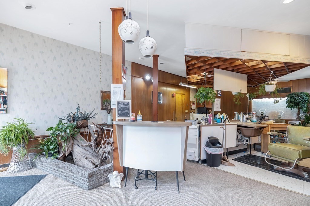 591 Grattan Street Chicopee, MA 01020 - Photo 29 of 36 a room with lots of furniture and potted plants