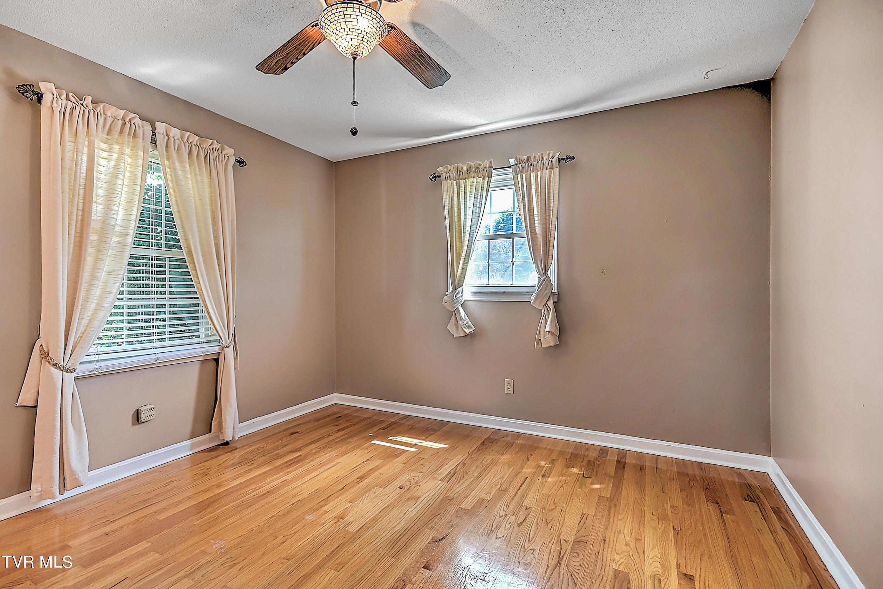 191 Grandview Road Bristol, VA 24201 - Photo 22 of 64 191 Grandview GDawg-28