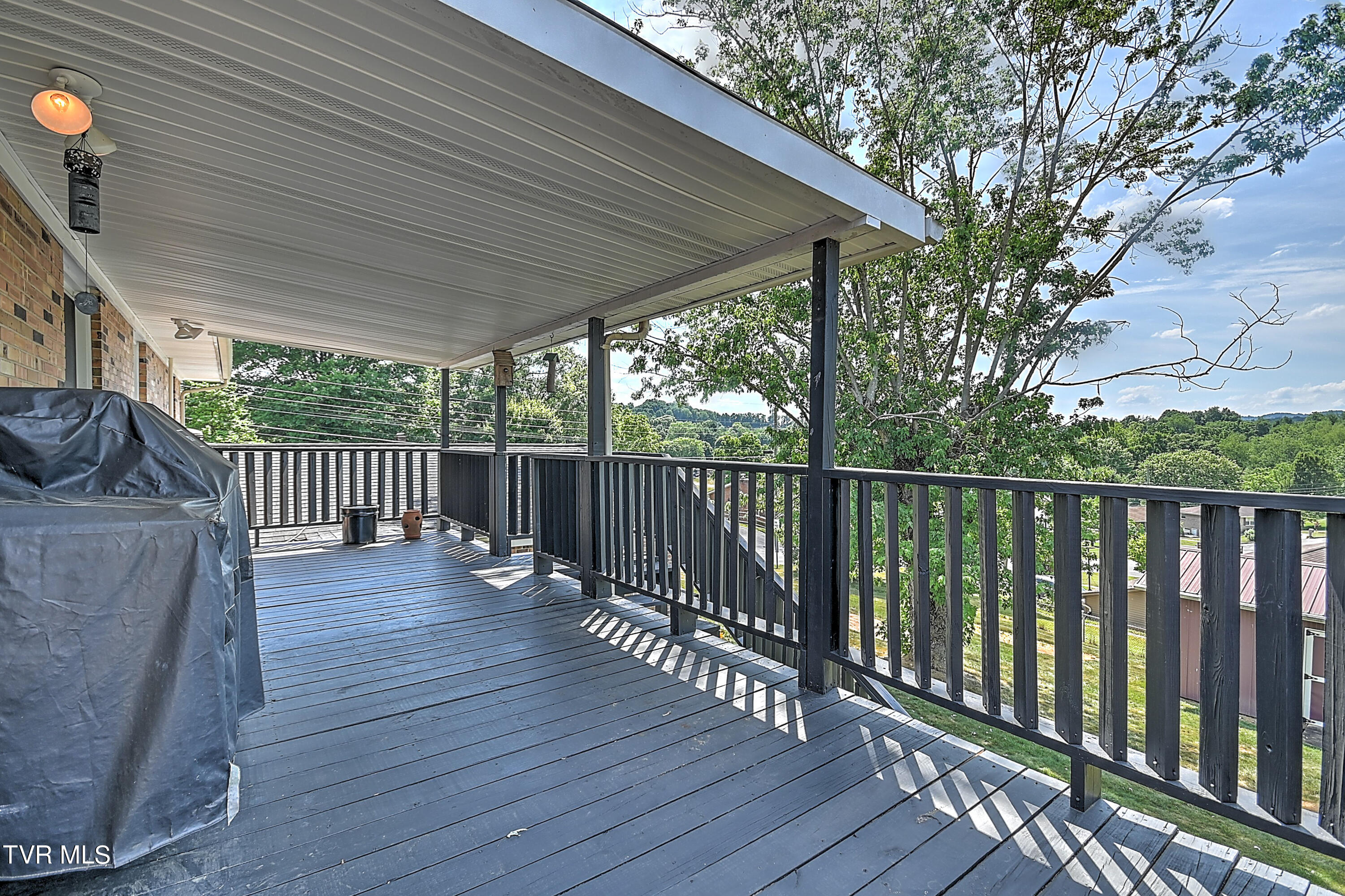 191 Grandview Road Bristol, VA 24201 - Photo 43 of 64 191 Grandview GDawg-57