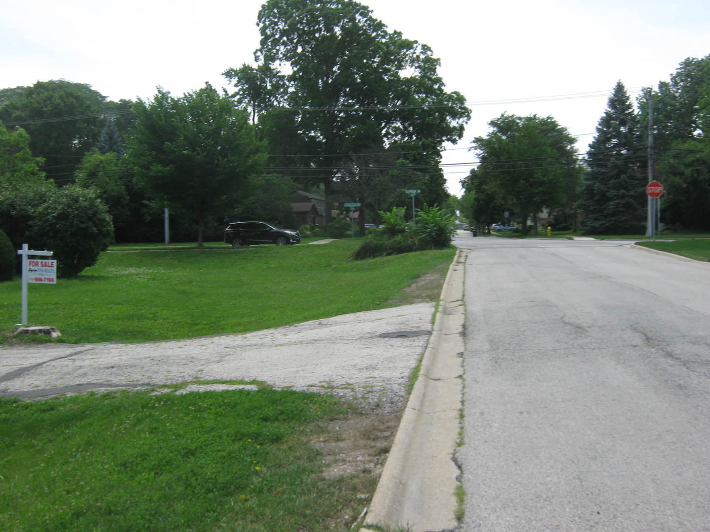 1007 Prairie Lawn Road Glenview, IL 60025 - Photo 48 of 48 a view of a park with large trees