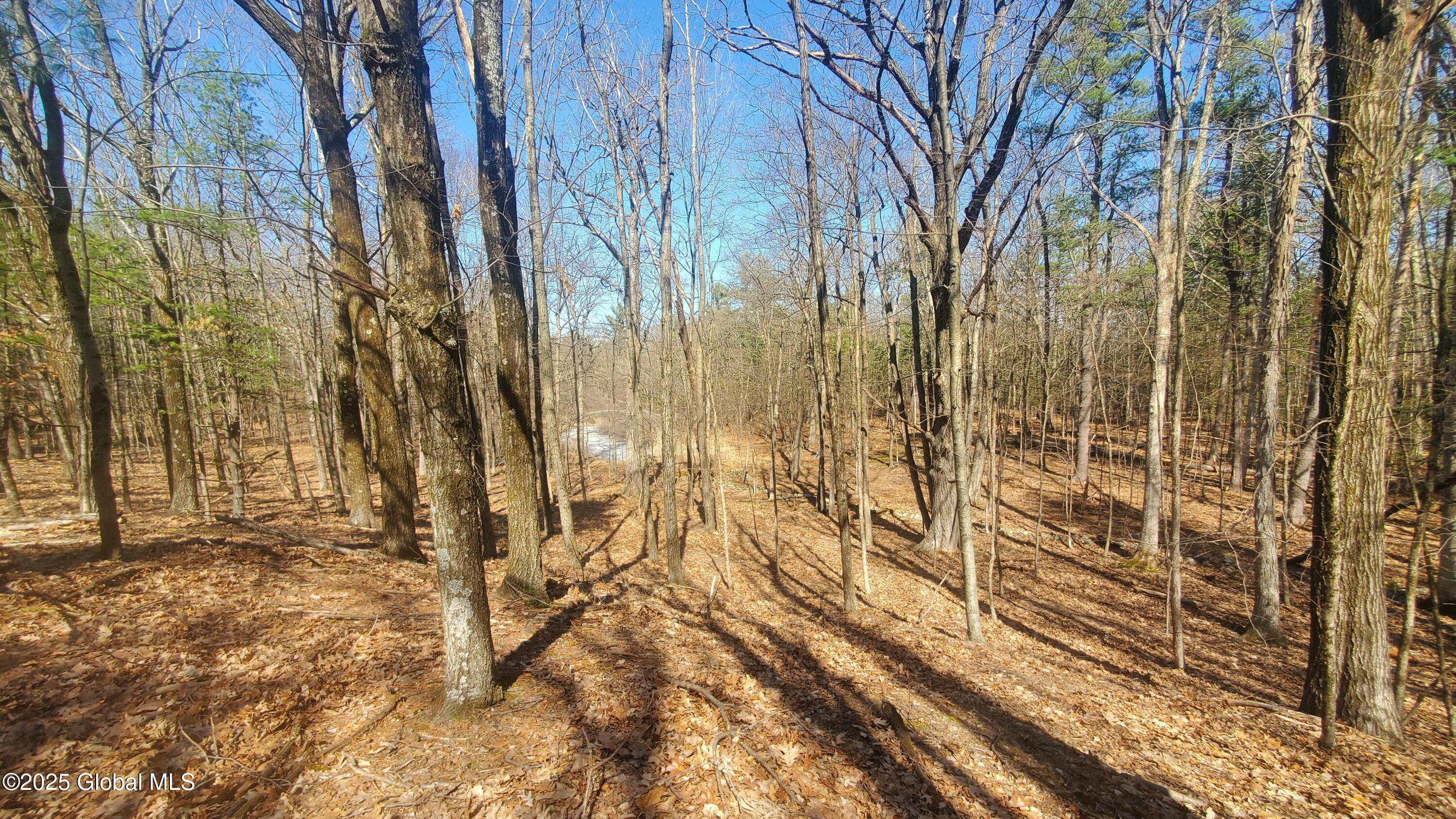 L25 Fischer Road Kinderhook, NY 12106 - Photo 23 of 30 WINTER VIEW