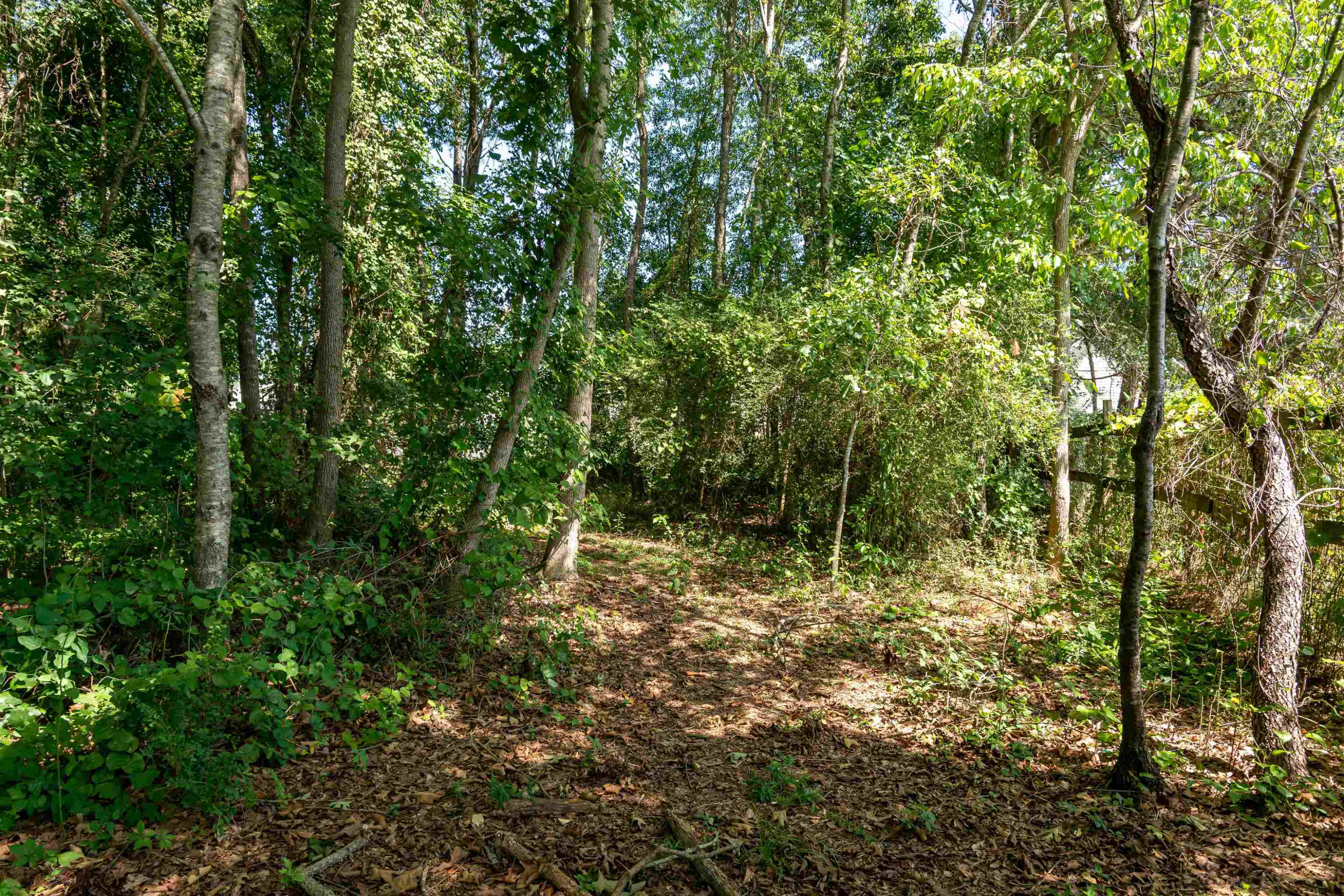 371 Godwin Road Benson, NC 27504 - Photo 49 of 58 Photo 49