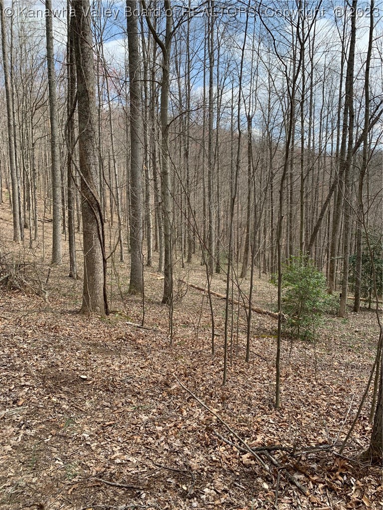 444 Carolina Mountain Road Sutton, WV 26601 - Photo 7 of 17 Gallery Image 7