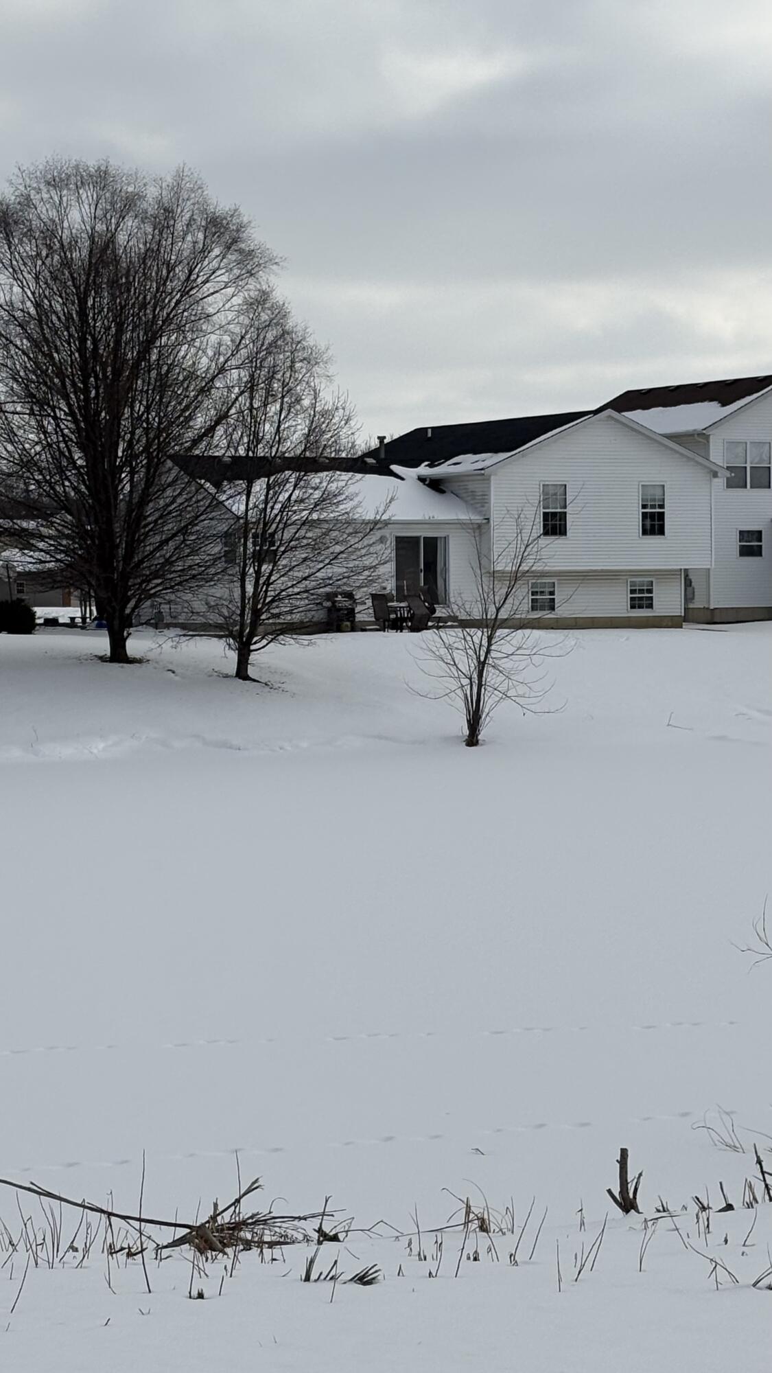 12370 Rush Street Crown Point, IN 46307 - Photo 44 of 65 1125x2000