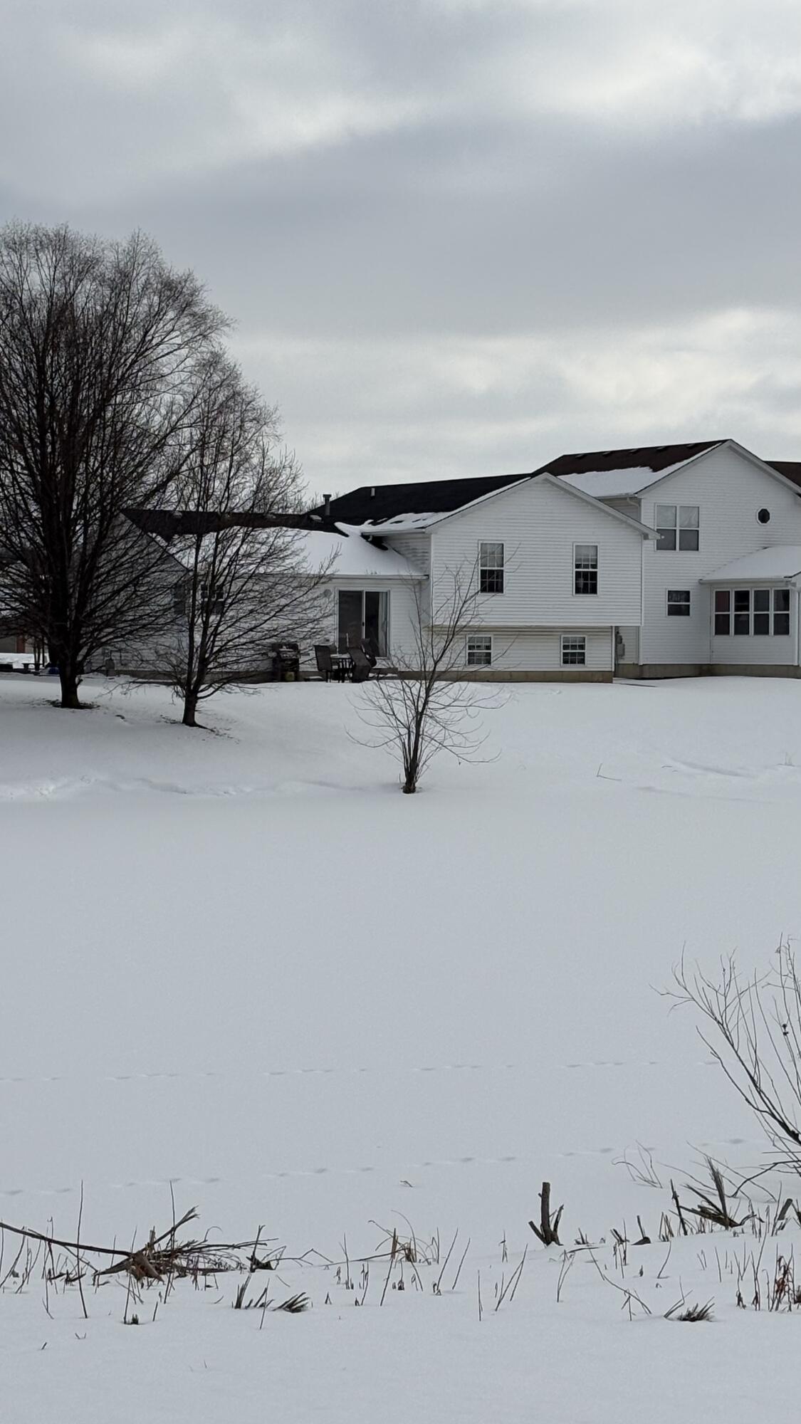 12370 Rush Street Crown Point, IN 46307 - Photo 65 of 65 1125x2000