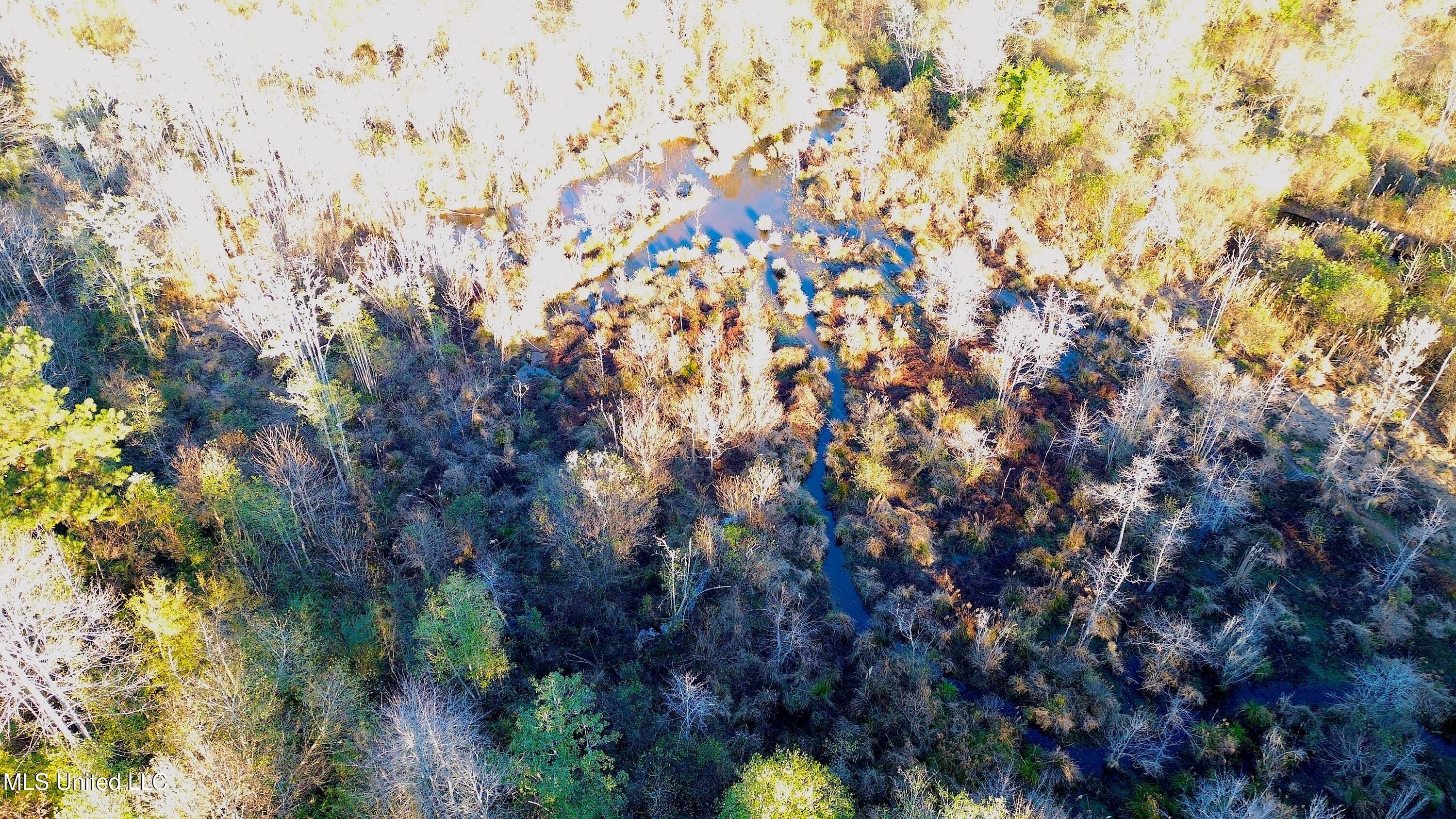 0 Highway 513 Enterprise, MS 39330 - Photo 11 of 22 DJI_0036