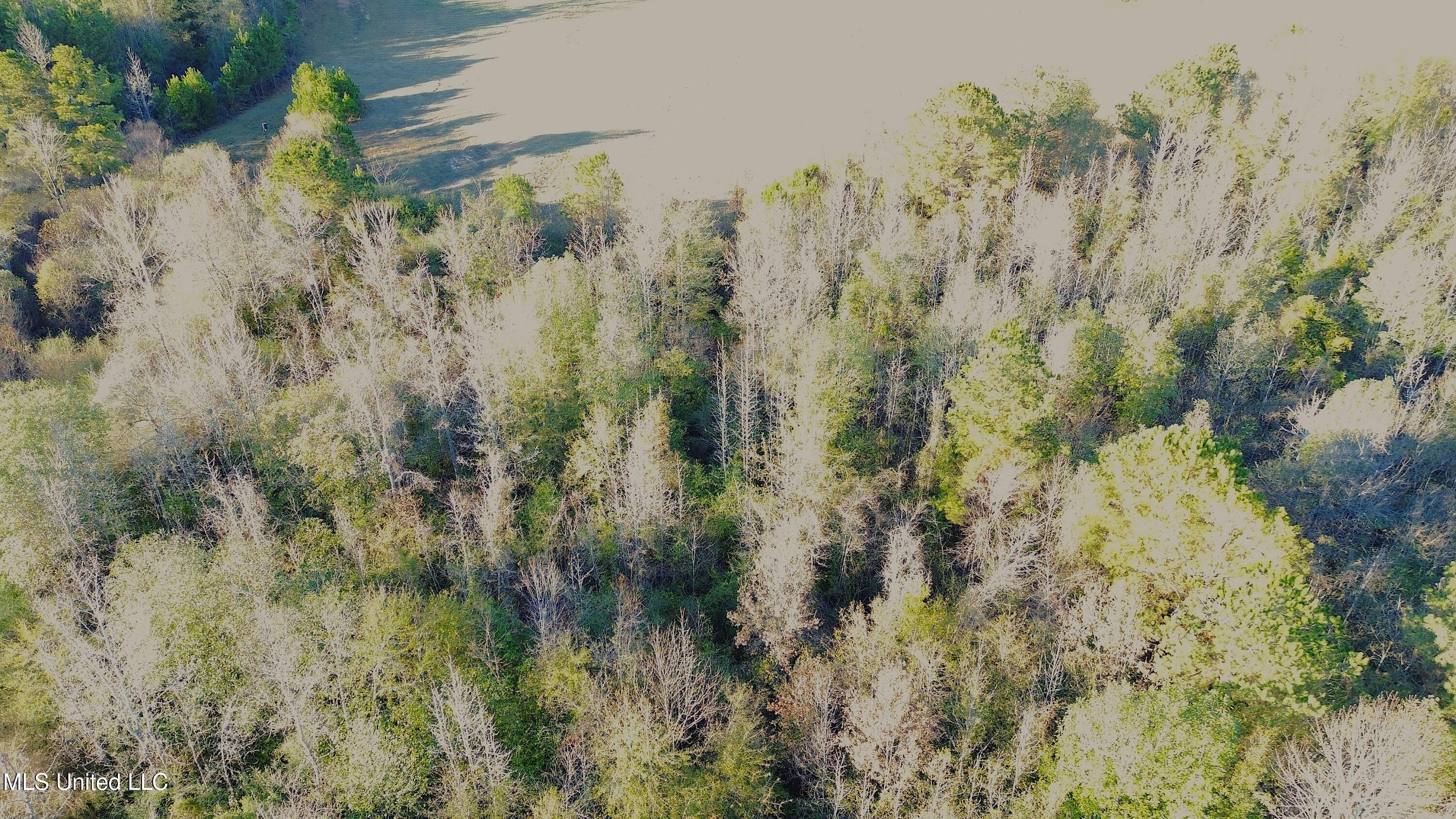 0 Highway 513 Enterprise, MS 39330 - Photo 12 of 22 DJI_0035