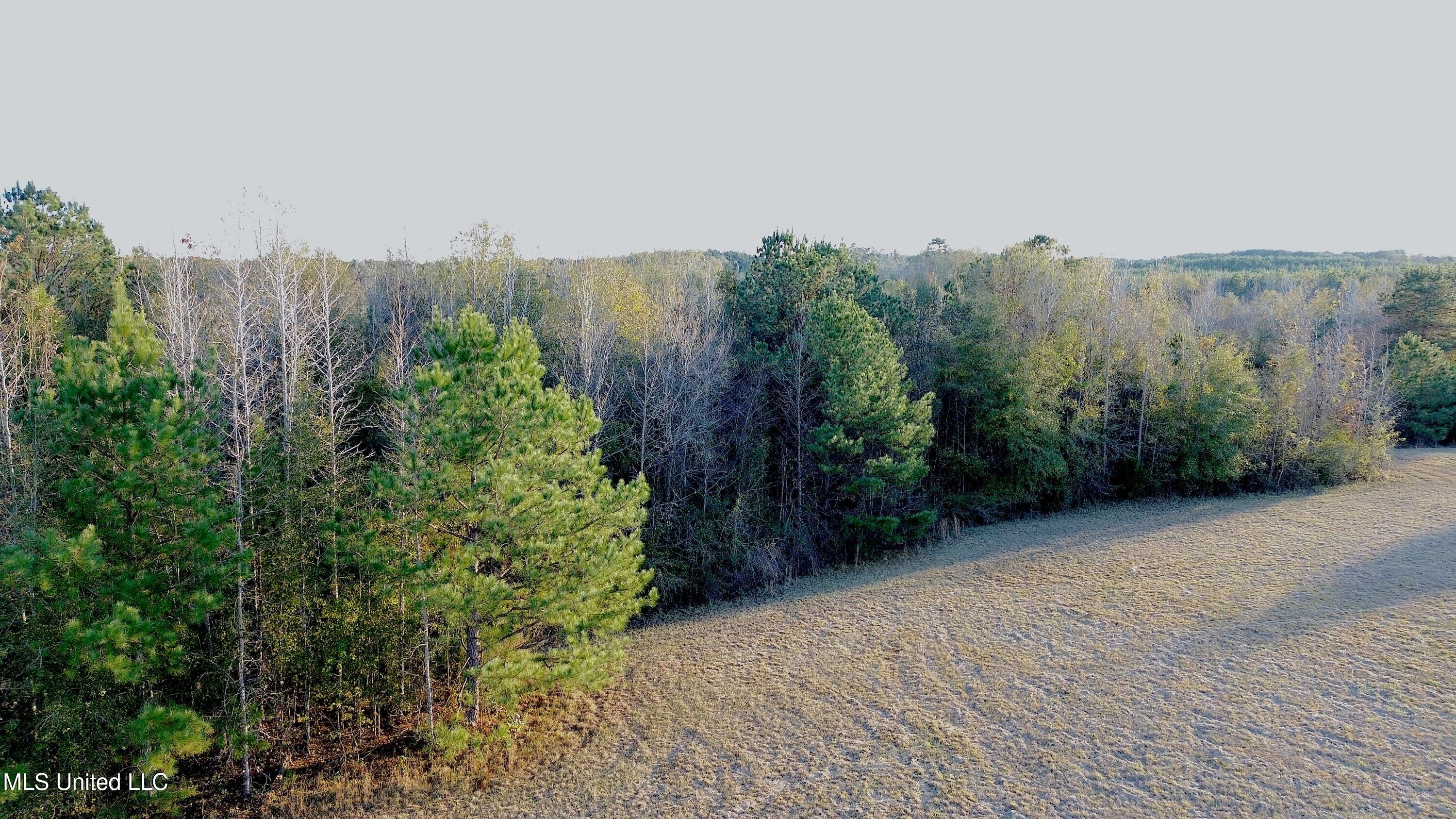 0 Highway 513 Enterprise, MS 39330 - Photo 13 of 22 DJI_0055