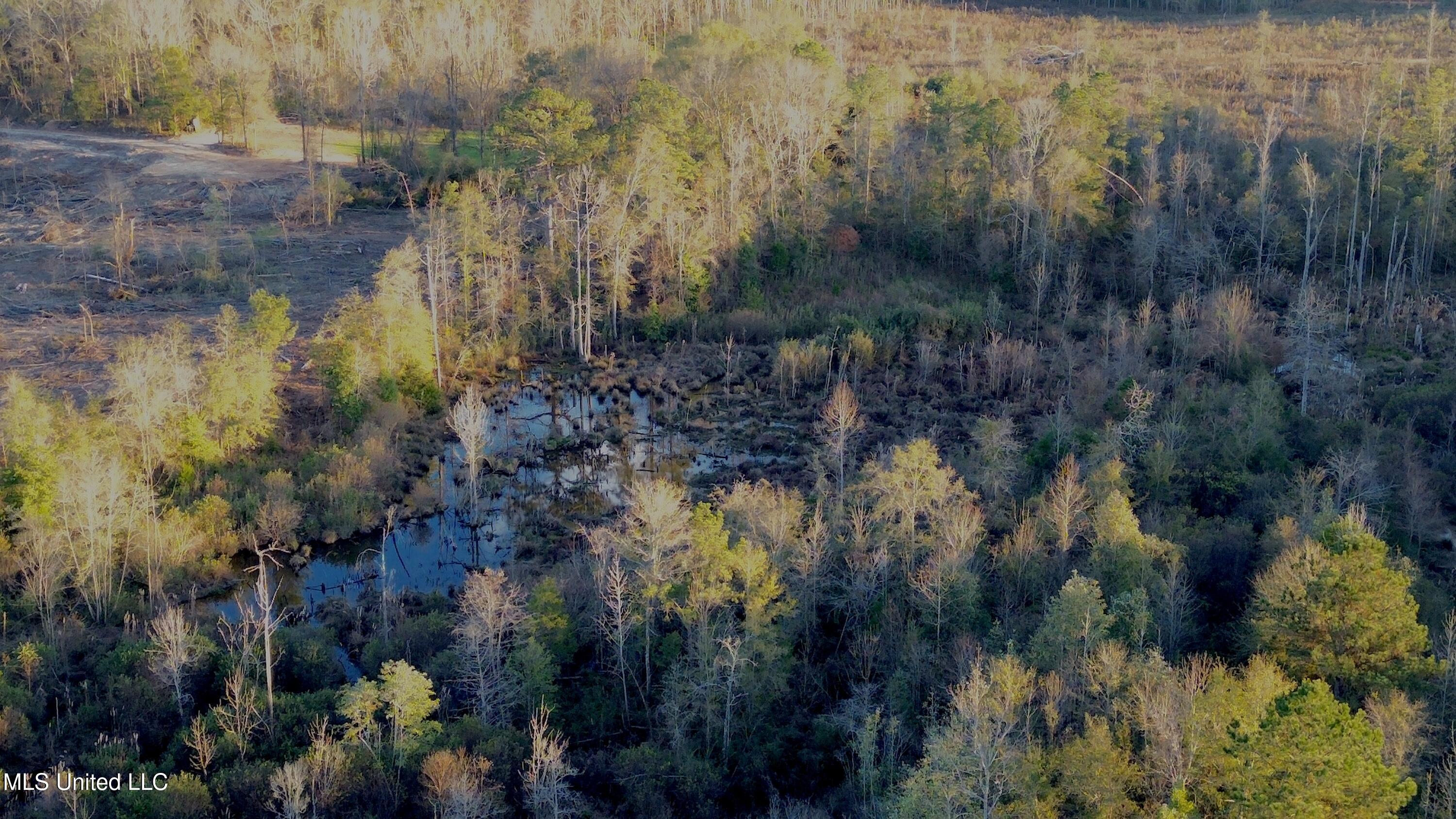 0 Highway 513 Enterprise, MS 39330 - Photo 15 of 22 DJI_0057