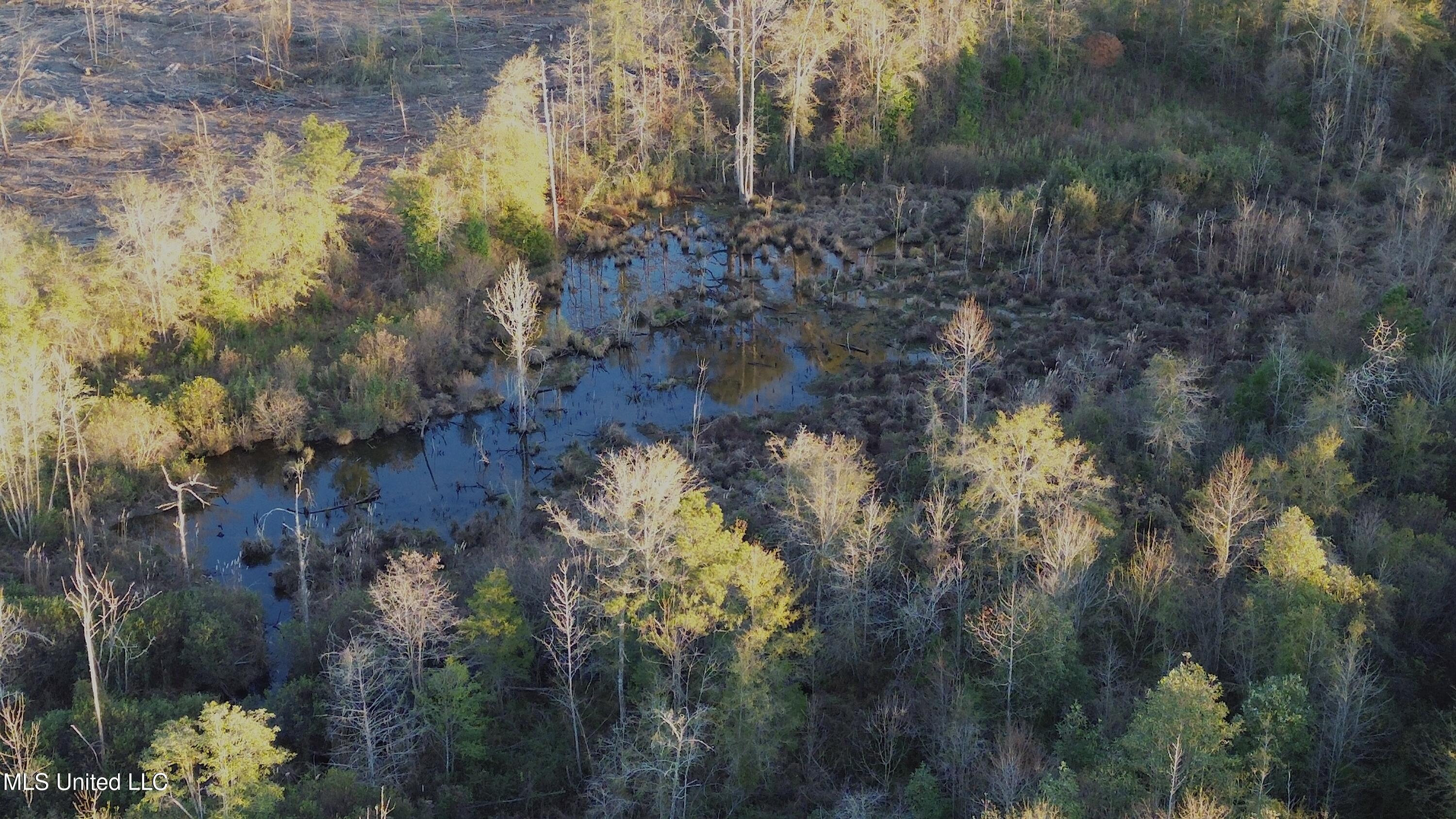 0 Highway 513 Enterprise, MS 39330 - Photo 16 of 22 DJI_0058