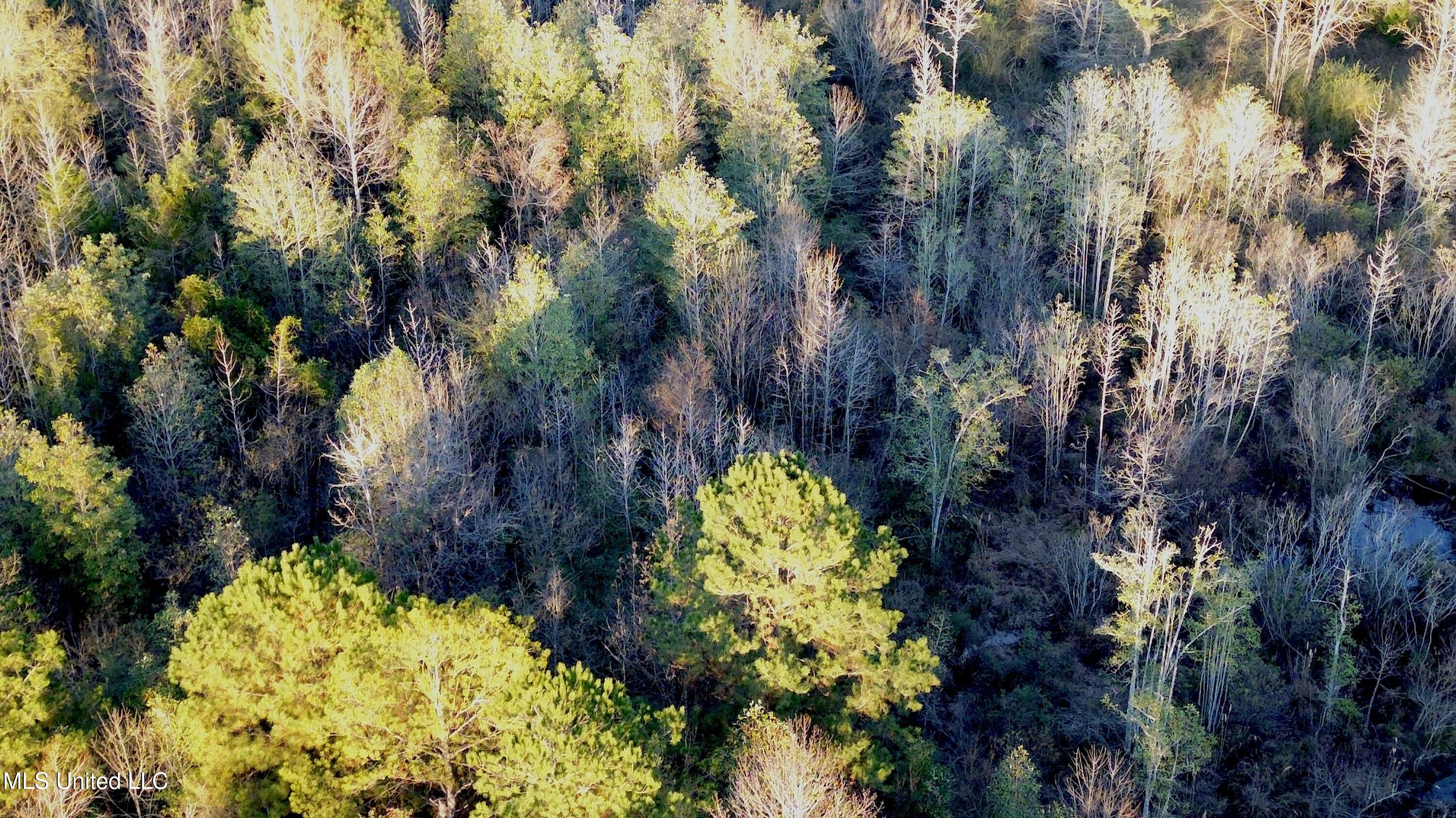 0 Highway 513 Enterprise, MS 39330 - Photo 17 of 22 DJI_0059