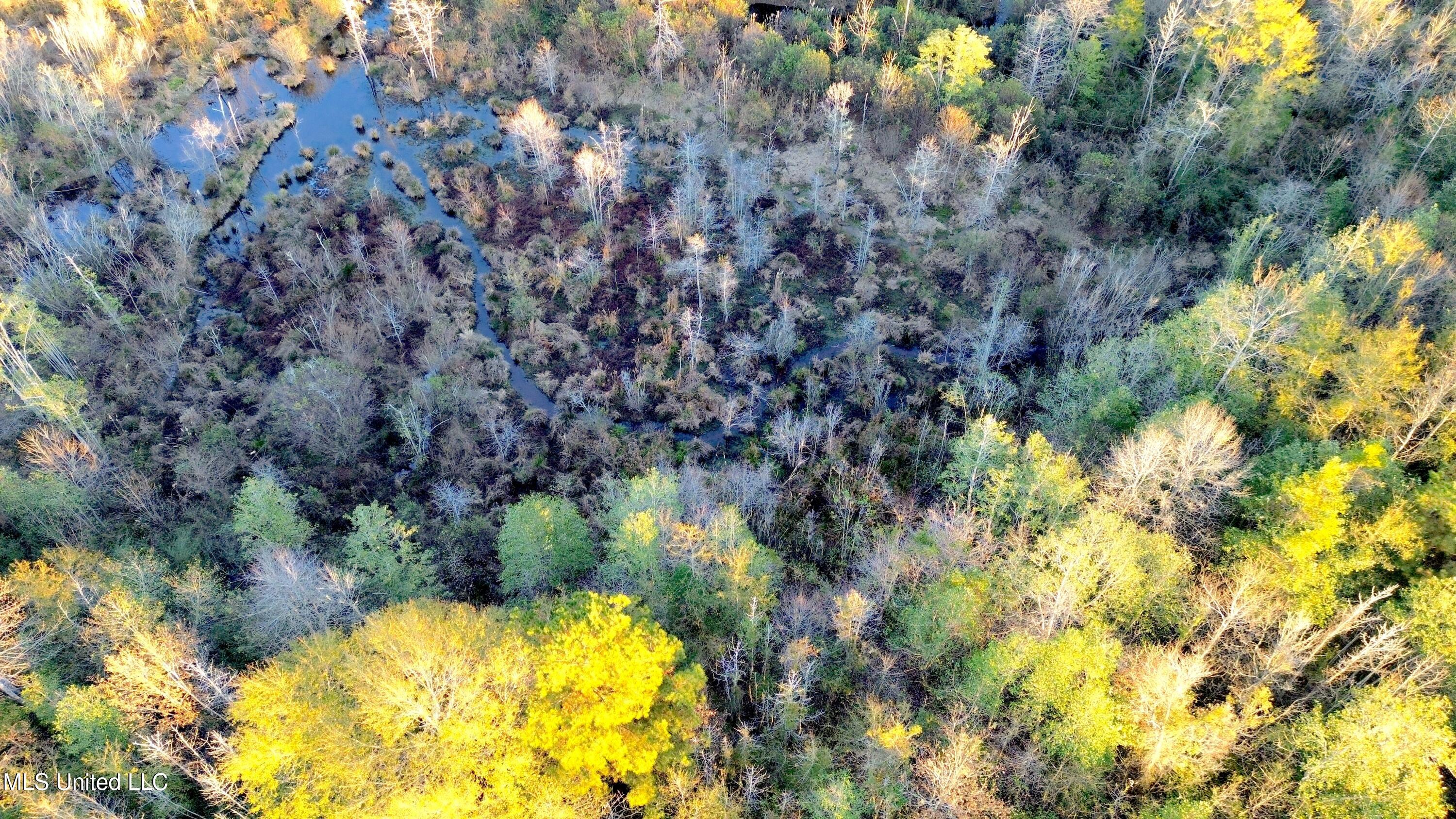 0 Highway 513 Enterprise, MS 39330 - Photo 19 of 22 DJI_0064