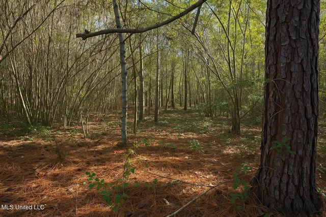 $92,400 | 0 Highway 513, Enterprise, MS 39330