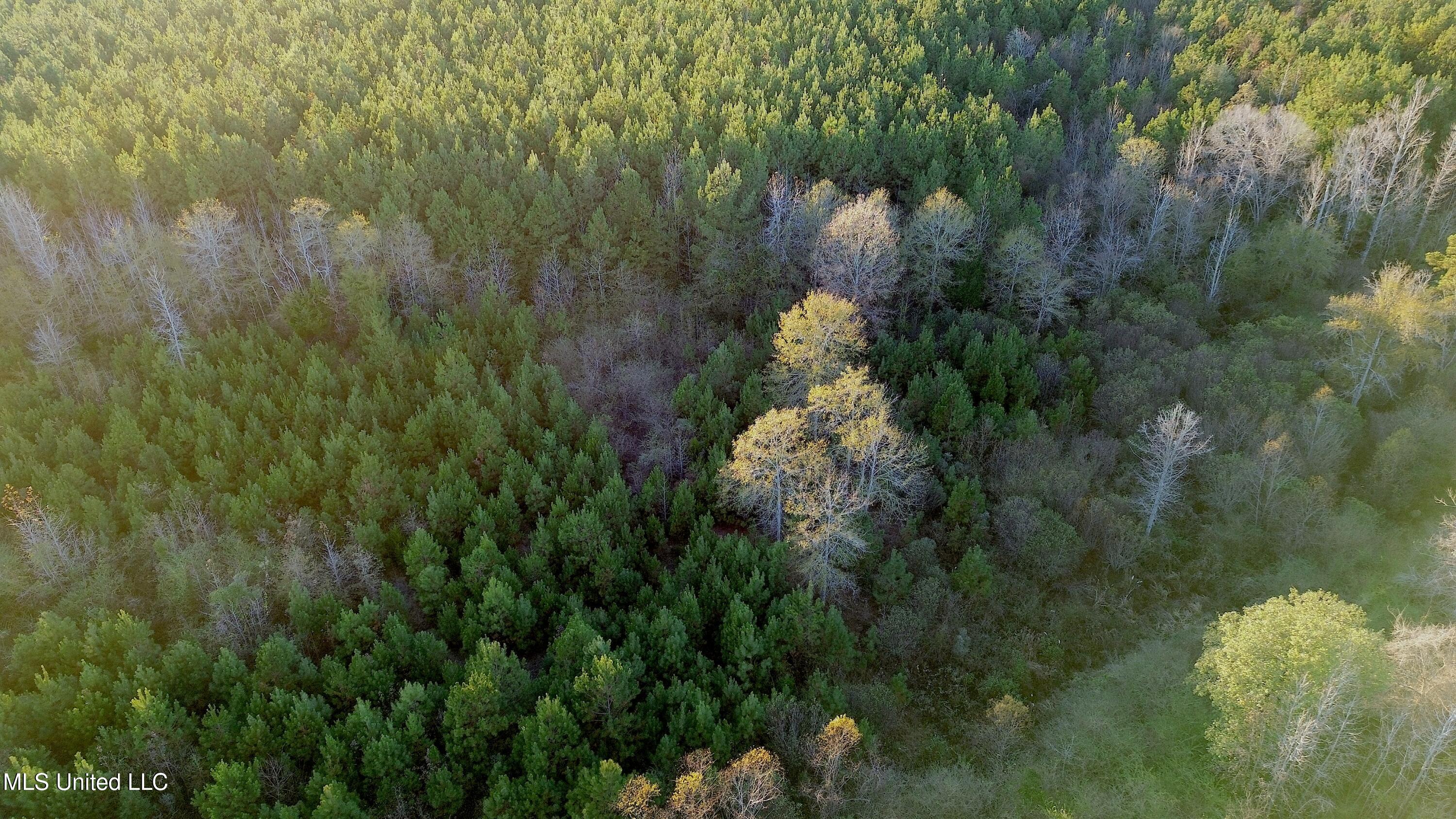 0 Highway 513 Enterprise, MS 39330 - Photo 21 of 22 DJI_0061